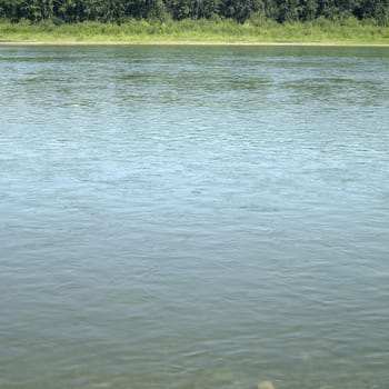 Edge of a calm body of water lined with foliage