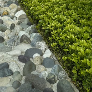 Different sizes and colors of stones poke out of a wall top near a trimmed green hedge 