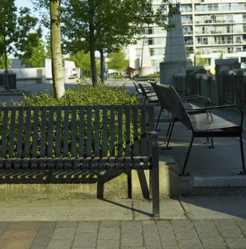 Black metal park benches near a concrete path, hedge and tree in an urban setting