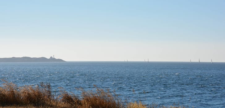 Taken from Clover Point, Victoria, sailboats can be seen along with a distant lighthouse