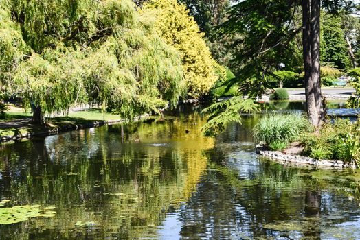 Beacon Hill Park, Victoria, British Columbia