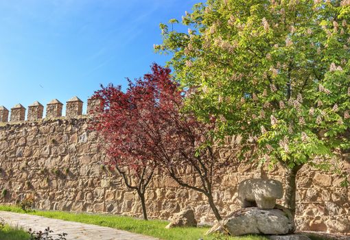 Ancient Bull Statue Verraco Castle Walls Swallows Avila Castile Spain.  Described as the most 16th century town in Spain.  Walls created in 1088 after Christians conquer and take the city from the Moors.  Bull States created in 200BC.  