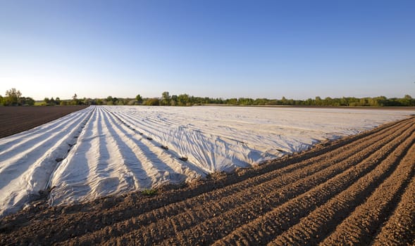  the territory of an agricultural field covered with a material for warming. Greenhouses