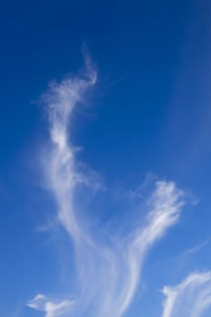   the white clouds located in the sky. day time