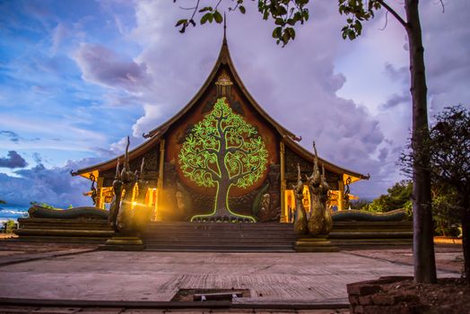 Art tree glow on the back of the hall of the temple in Thailand.