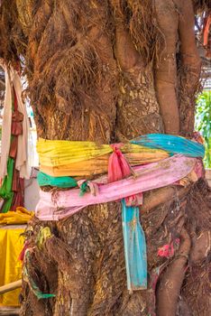 Thread colors to tie around a tree.