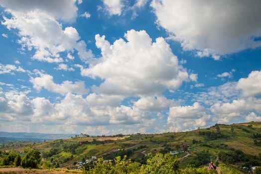 Green Mountain The rich vegetation in Thailand, KHAO KHO, Abundance