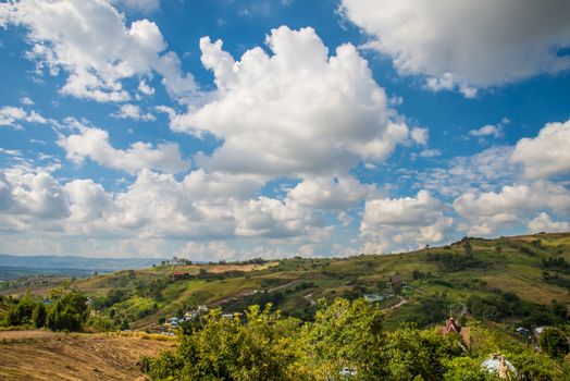 Green Mountain The rich vegetation in Thailand, KHAO KHO, Abundance