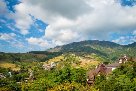 Green Mountain The rich vegetation in Thailand, KHAO KHO, Abundance
