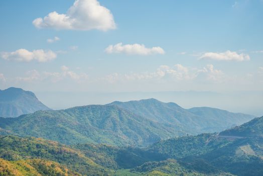 Green Mountain The rich vegetation in Thailand, KHAO KHO, Abundance