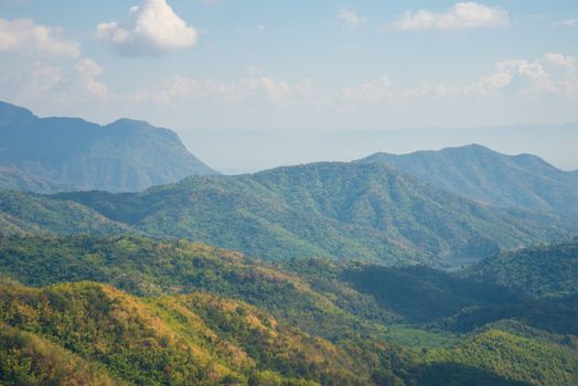 Green Mountain The rich vegetation in Thailand, KHAO KHO, Abundance
