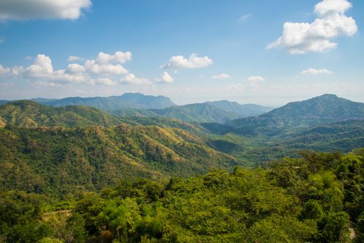 Green Mountain The rich vegetation in Thailand, KHAO KHO, Abundance