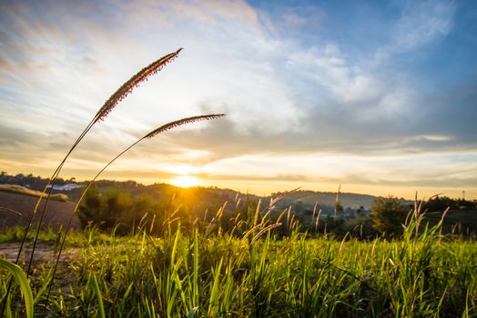 Sunrise in the morning, surrounded by mountains and meadows.