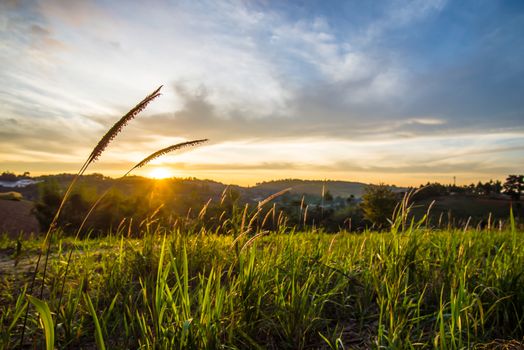 Sunrise in the morning, surrounded by mountains and meadows.