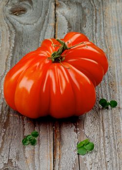 Big Raw Ripe Beefsteak Tomato closeup on Rustic Wooden background