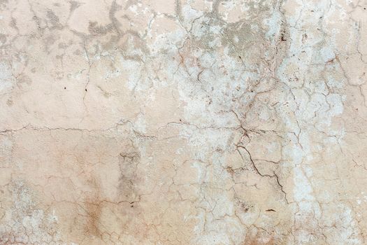 Grunge white background cement old texture wall