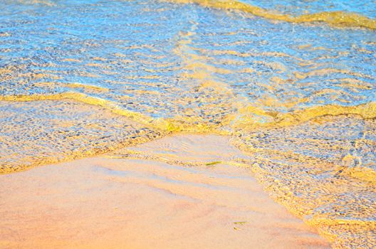 Coastal soft waves on the sandy beach