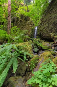 Mossy Grotto Falls in Columbia River Gorge National Scenic Area Oregon in Spring Season