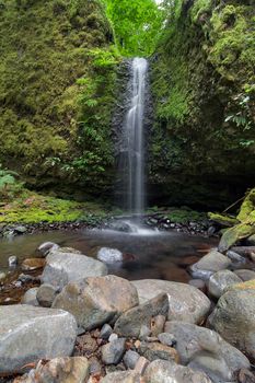Mossy Grotto Falls falling into a pool in Columbia River Gorge National Scenic Area Oregon in Spring Season