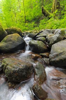 Small Waterfall along Ruckel Creek in Columbia River Gorge National Scenic Area Oregon