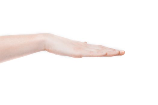 Female hand showing gesture on an isolated white background