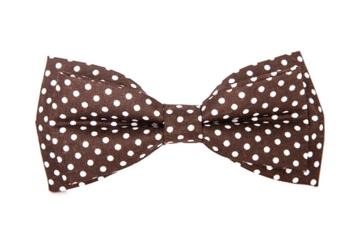 chocolate-colored bow tie with white polka dots on an isolated white background