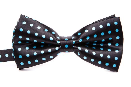 Elegant black bow tie in blue polka dots on an isolated white background