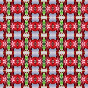 Hippeastrum full bloom or amaryllis flowers seamless use as pattern and wallpaper.