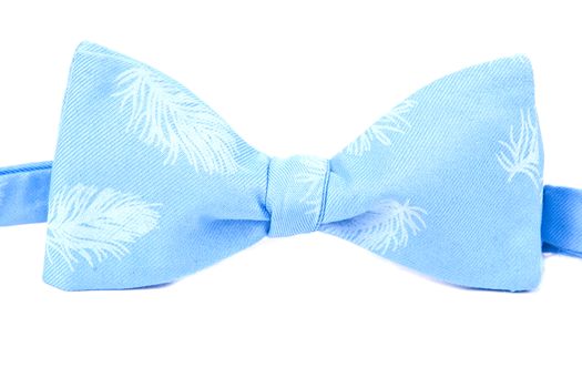 blue bow tie  with a feather pattern isolated on white background