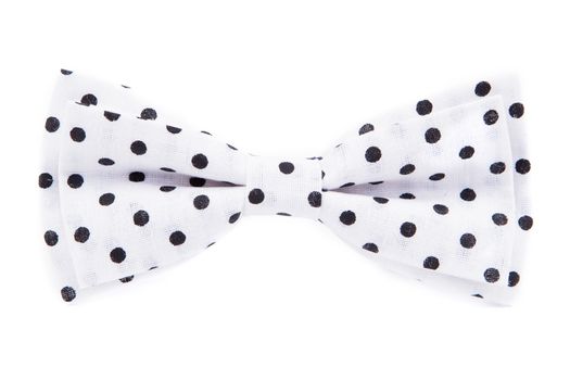 white bow tie in black polka dots isolated on white background