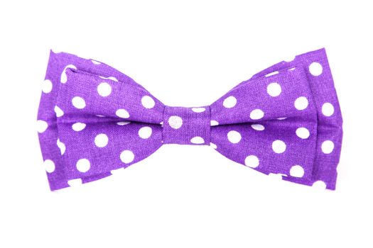 purple bow tie with white polka dots on an isolated white background