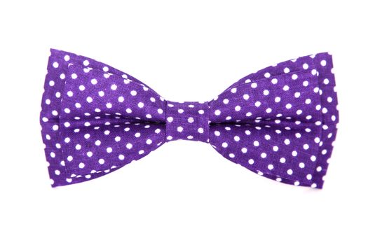 purple bow tie with white polka dots on an isolated white background