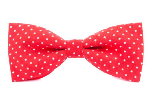 bow tie with polka dots isolated on white background