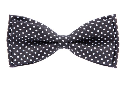 bow tie with polka dots isolated on white background