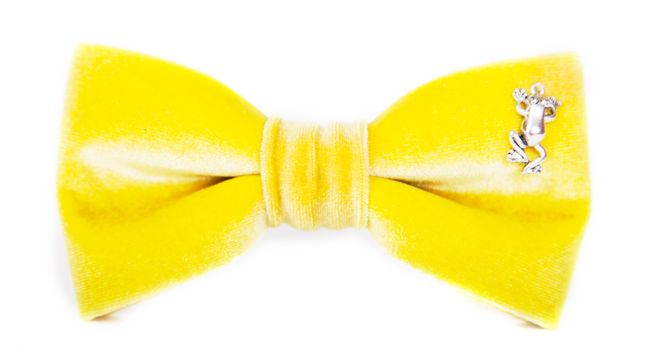 yellow bow tie with a toy frog on an isolated white background