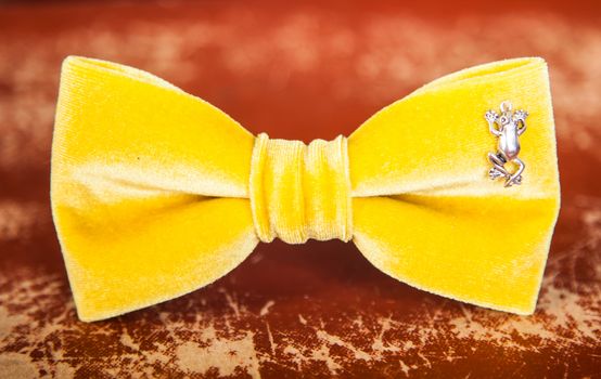 yellow bow tie with a toy frog
