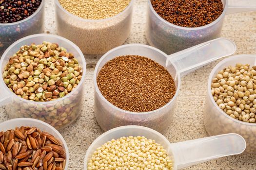 gluten free grains (quinoa, brown rice, kaniwa, amaranth, sorghum, millet, buckwheat, teff) - measuring scoops on a rustic barn wood