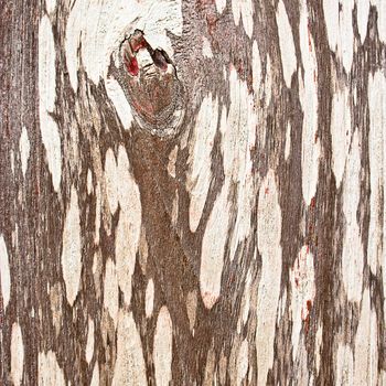 Wooden stain with texture background