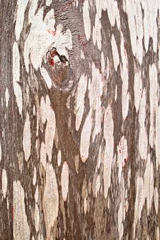 Wooden stain with texture background