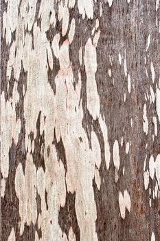 Wooden stain with texture background