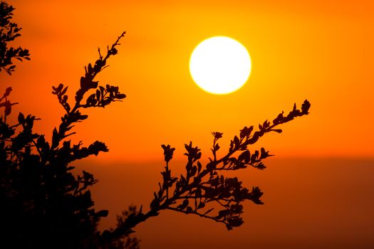Big round setting sun in the African bushveld