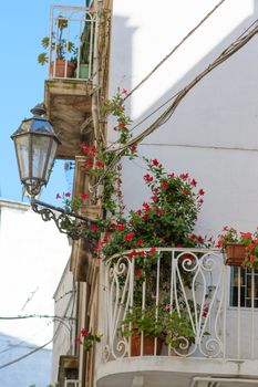 balcony with red geraniums and streetlight typical of cities