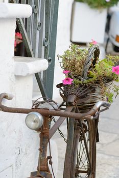 Old bike iron flower basket leaning over