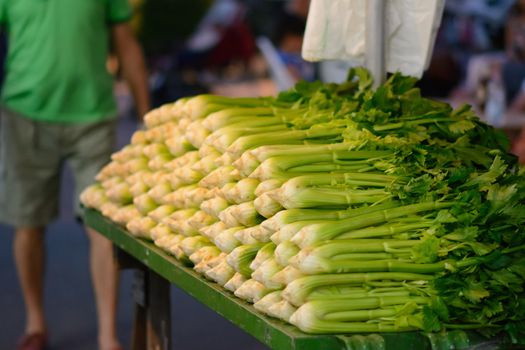 Group of plants of celery freshly picked and placed on the table