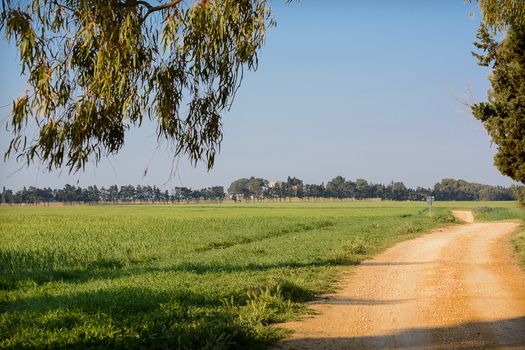 Country road with fields and trees background