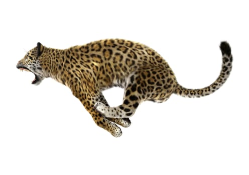 3D digital render of a big cat jaguar jumping isolated on white background