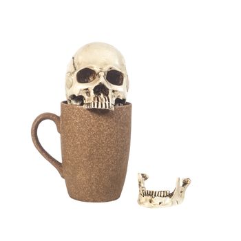 human skull in coffee cup on white background
