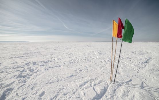 The Flags on the background of winter sky