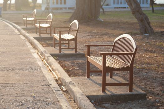 Bench along the corridor Under a tree in the park during the morning.