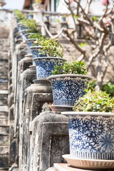 Potted plants on a railing in a park along the sidewalks.